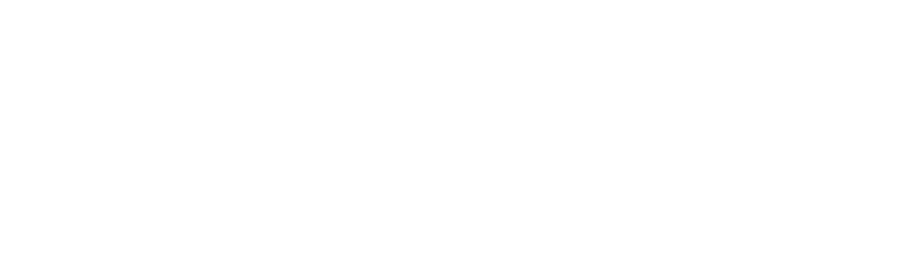 BNPP_3_Step_IT_standard logo_white